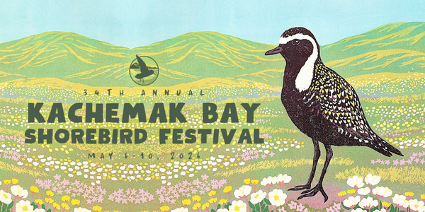 Shorebird%20Festival%202026%20Email%20(1).png