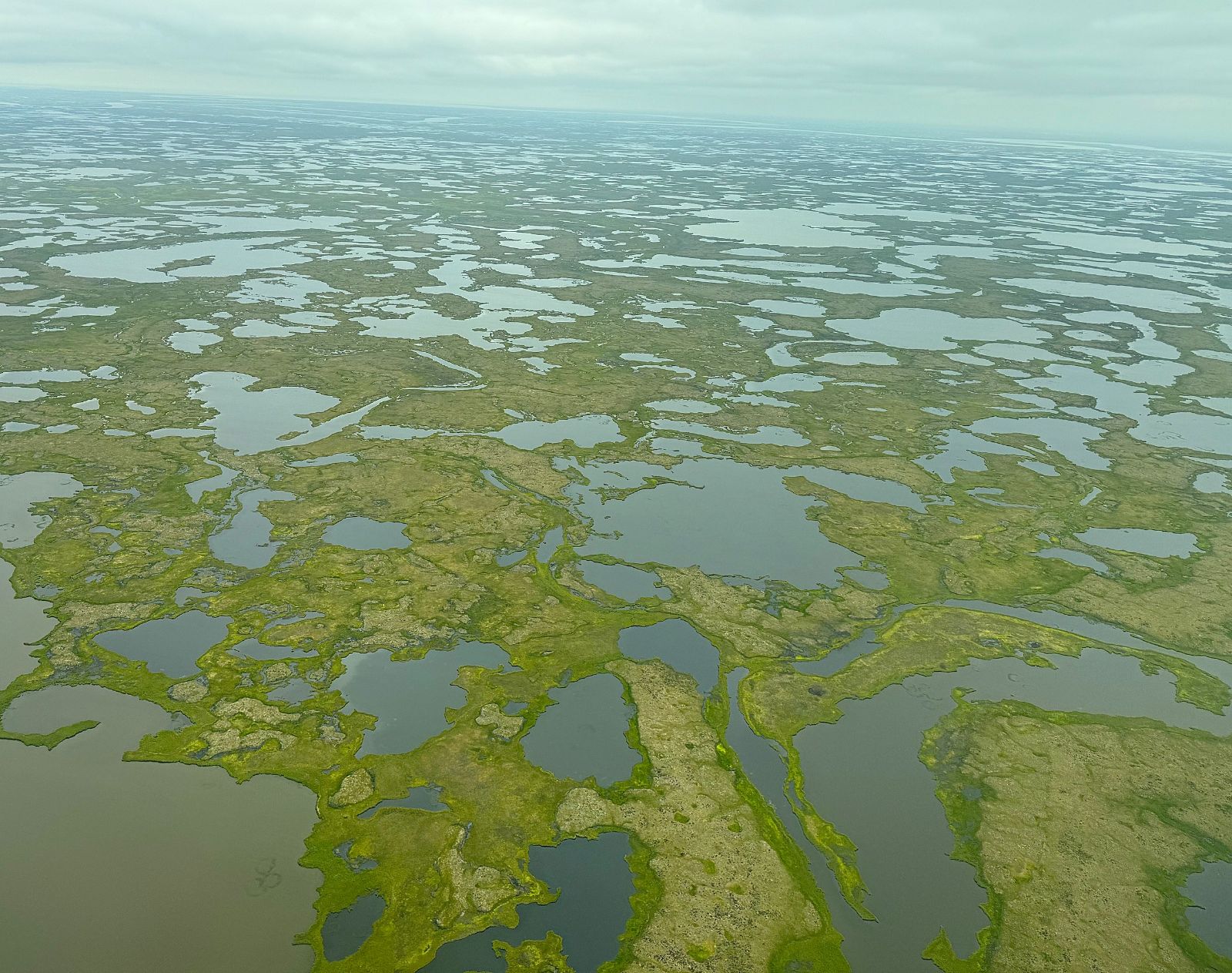 Yukon%20Kuskokwim%20Delta.jpeg
